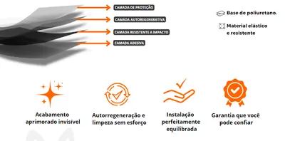 PPF Automotivo