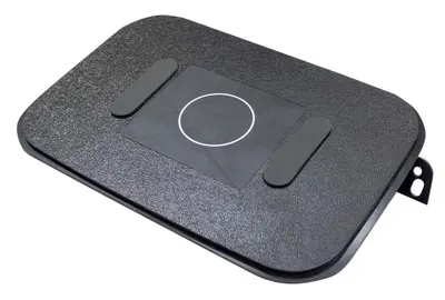 CHARGER10Q_3.jpg
