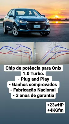 Chip Onix